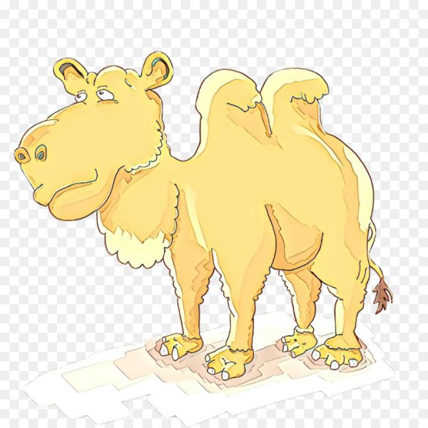 Верблюд мульт