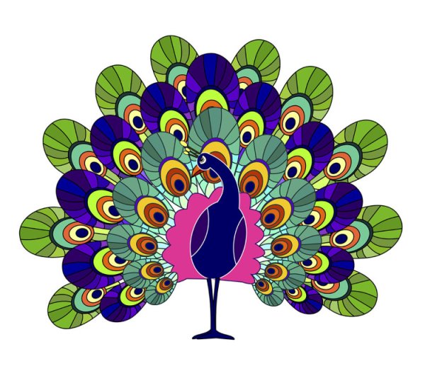 Павлин цветной для детей