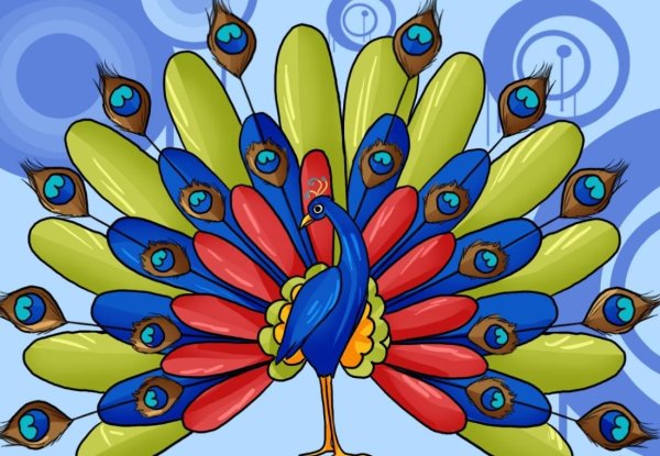 Рисование Павлин