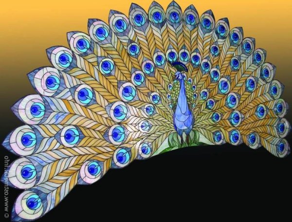 Павлинье перо