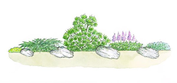 Рокарий эскиз сбоку