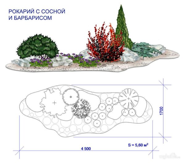 Рокарий в ландшафтном дизайне схемы