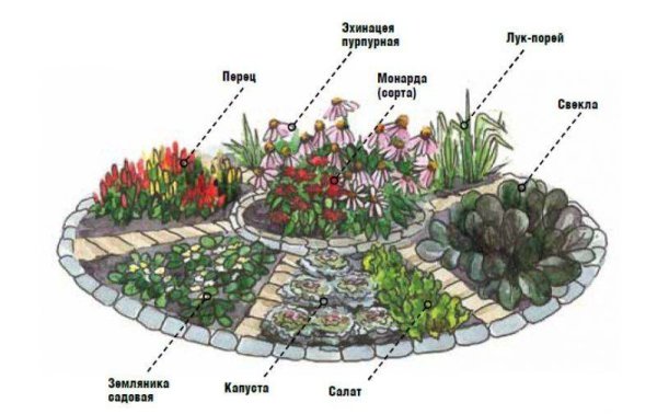 Планировка альпинария