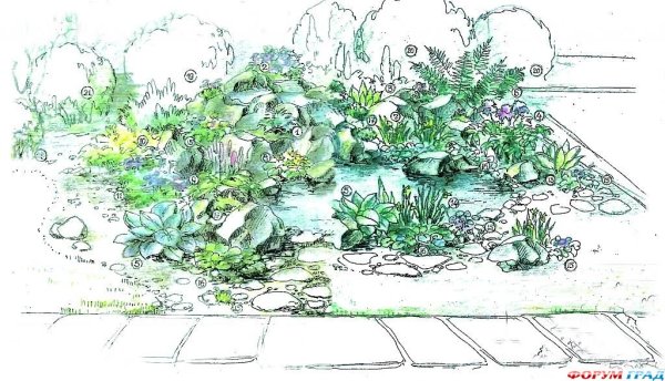 Цветник у водоема с ассортиментом