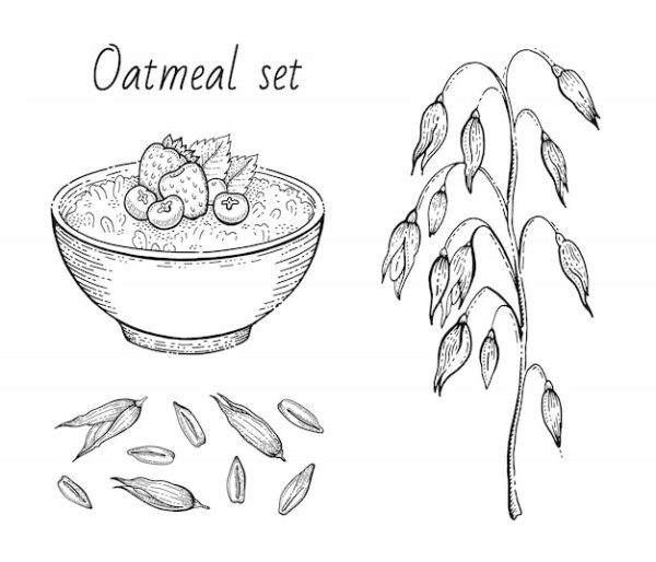 Овсянка раскраска