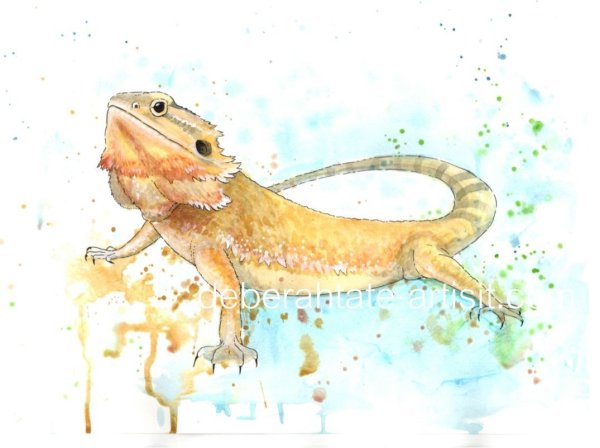 Бородатая агама акварелью