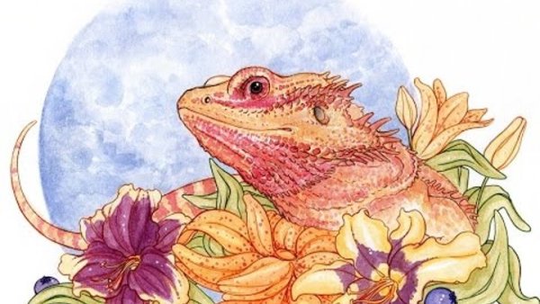 Бородатая агама дракон арт