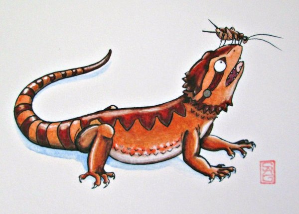 Мультяшная ящерица агама