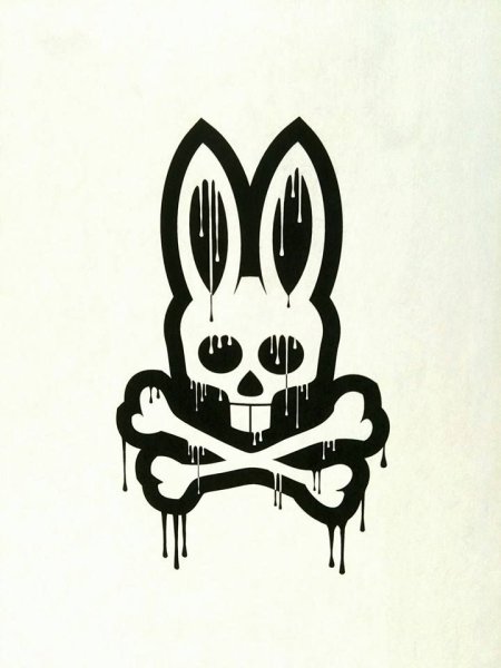 Череп кота сбоку