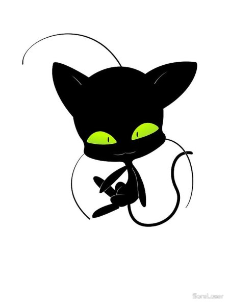 Леди баг КВАМИ Плагг