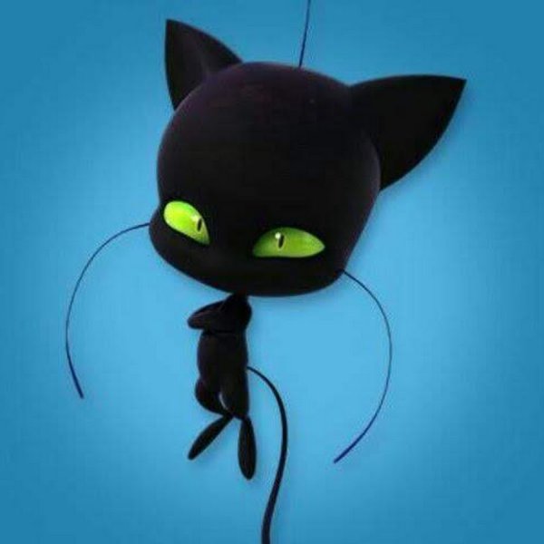 Леди баг и супер кот плаг и Тикки