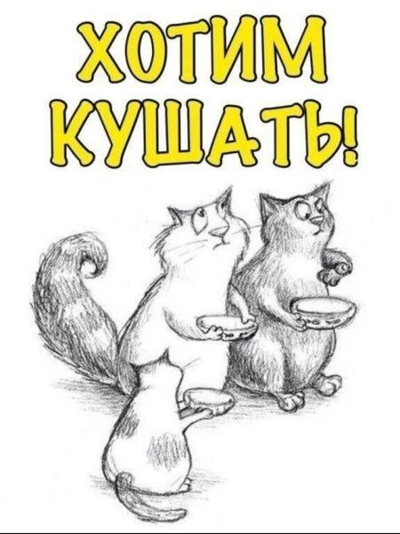 Нужен корм для кошек