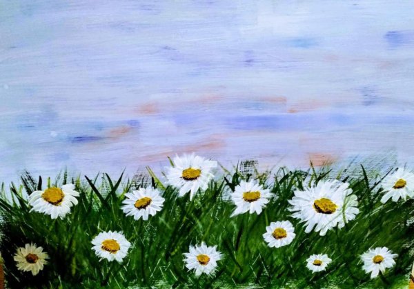 Поле ромашек нарисовать