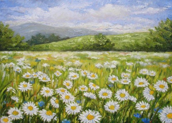 Поленов художник поле ромашек