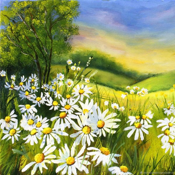 Пейзаж с ромашками