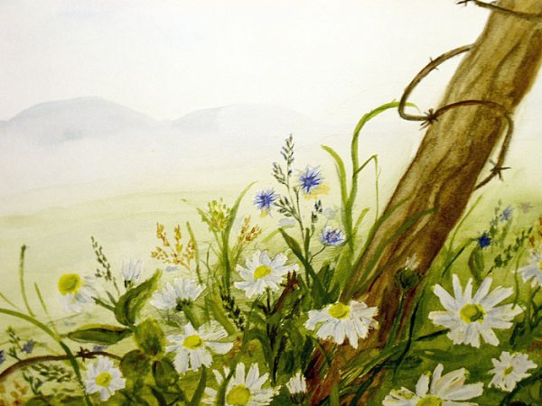 Пейзаж с ромашками карандашами