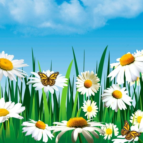 Ромашковое поле для детей