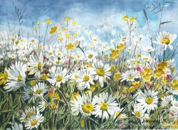Пейзажи с ромашками маслом