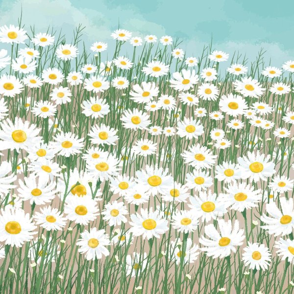 Ромашки арт