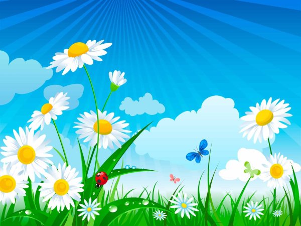 Фон ромашки для детского сада