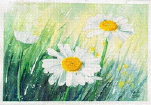 Поляна с ромашками акварелью