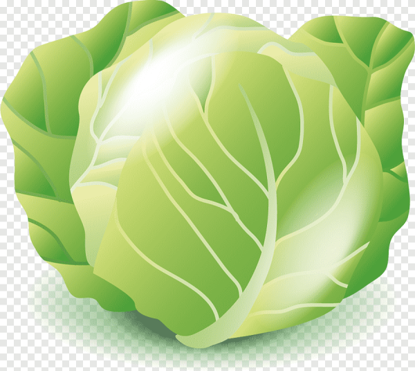 Ребенок в капусте