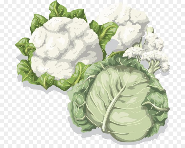 Капуста картинка для детей