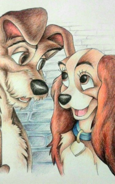 Леди из леди и Бродяга