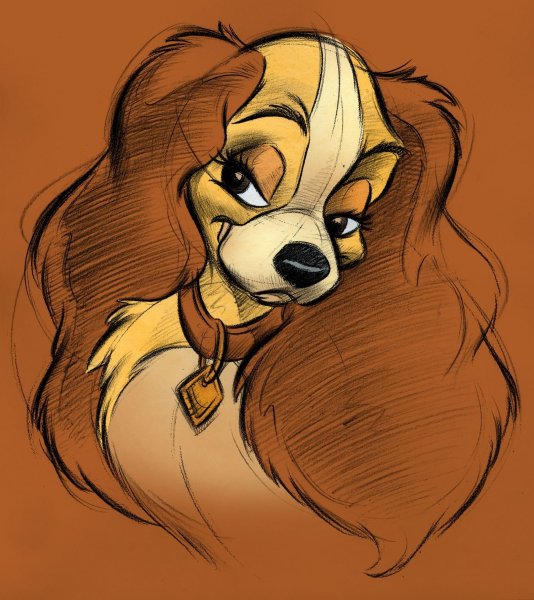 Миямото Мусаси