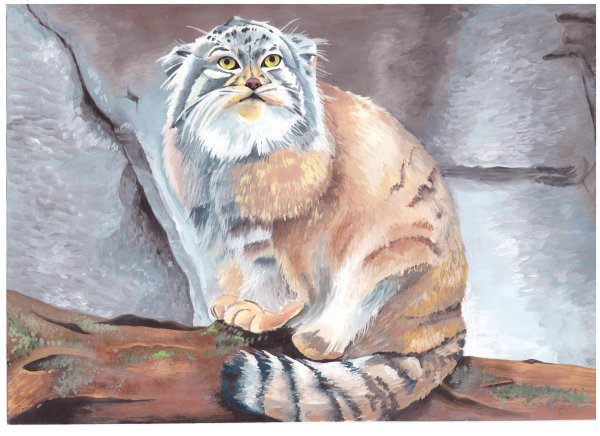 Витраж кот Манул