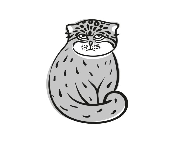 Кот Манул раскраска