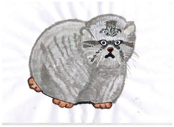 Лесной кот Манул рисунок