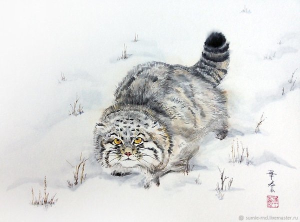 Манул вектор