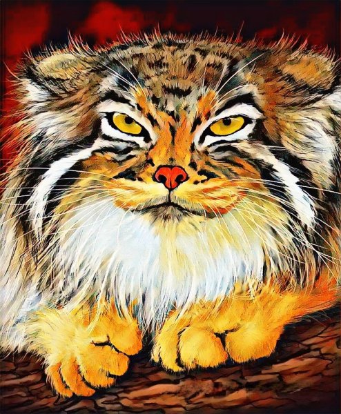 Манул рисунок