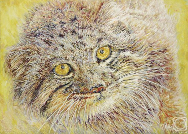 Нарисовать кота манула