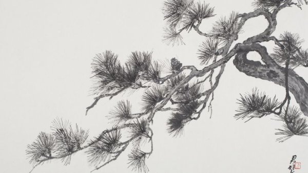 Шишки раскраска для детей