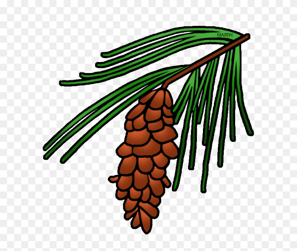 Вышивка гладью сосна