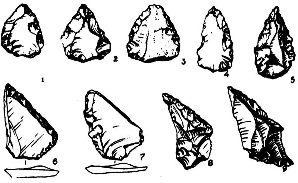 Первобытные орудия труда первобытного человека каменного века