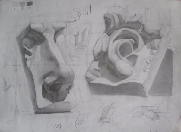 Ухо Давида Академический