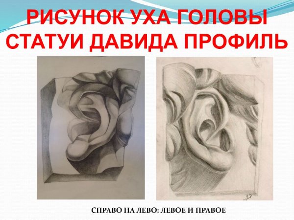 Гипсовая розетка ухо