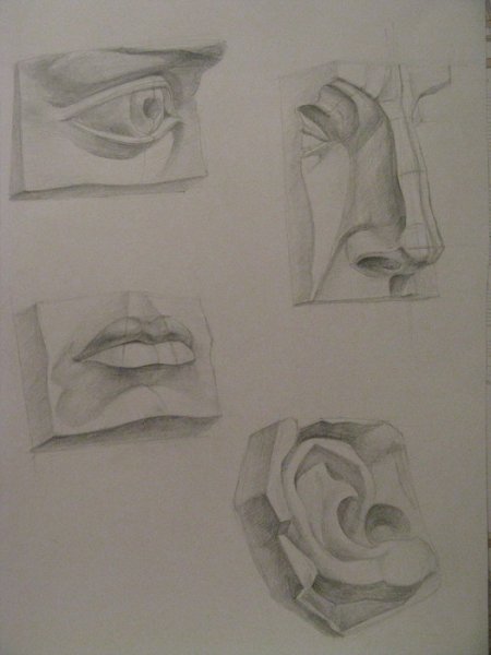 Этапы рисования уха Давида