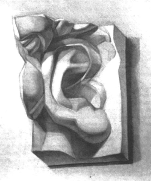 Гипсовый слепок уха Давида построение