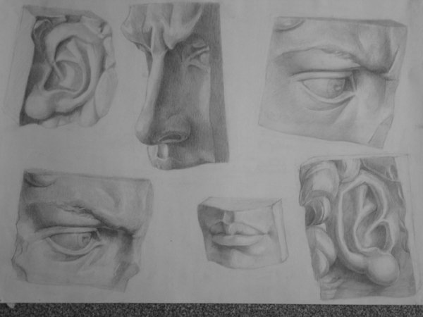 Гипсовый слепок уха Давида построение