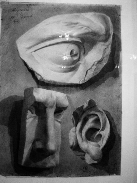 Рисунок гипсового слепка уха Давида