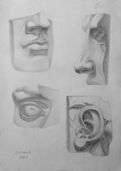 Гипсовые слепки головы Давида