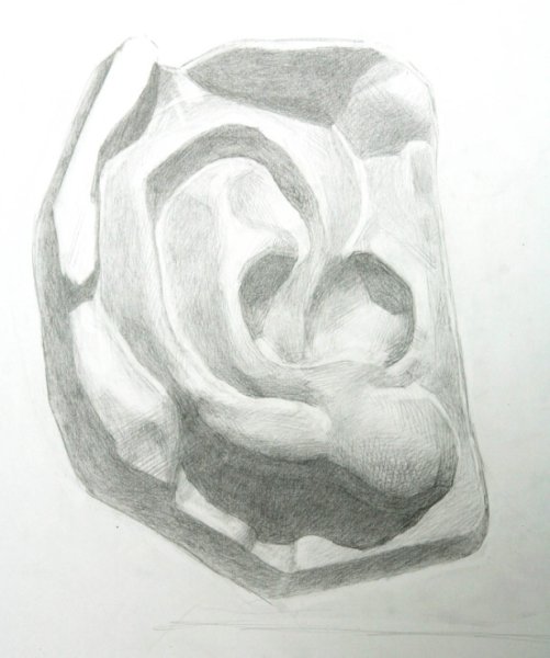 Части лица Давида Академический Гризайл