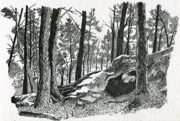 Графический пейзаж гелевой ручкой