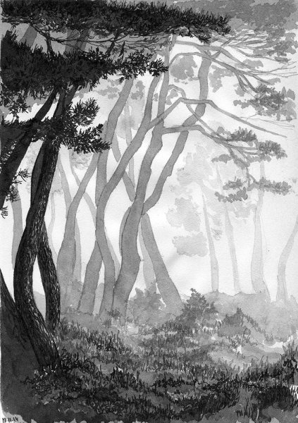 Графика тушью пейзаж