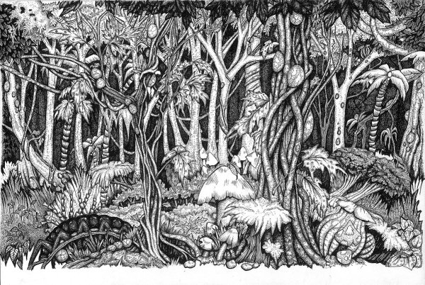 Джунгли в графике