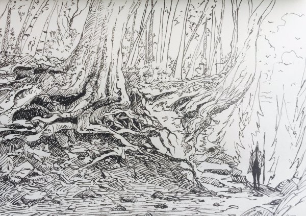 Природа Графика